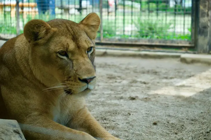 100種類以上の動物を見られる動物園！