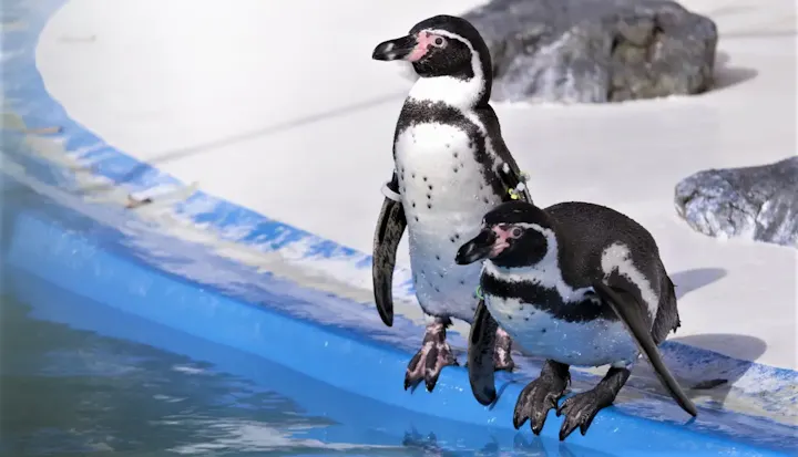 約100種類以上の水生生物を見れる水族館