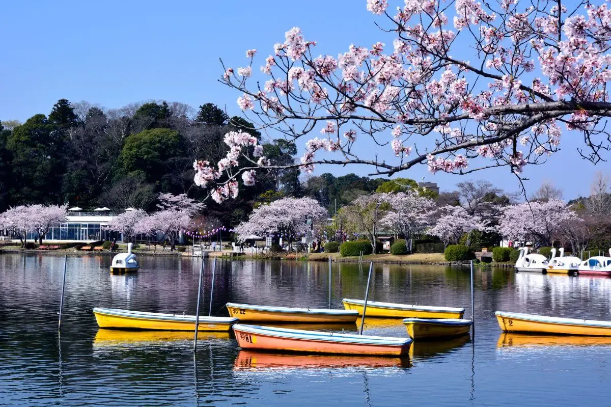 千波湖(写真 5)
