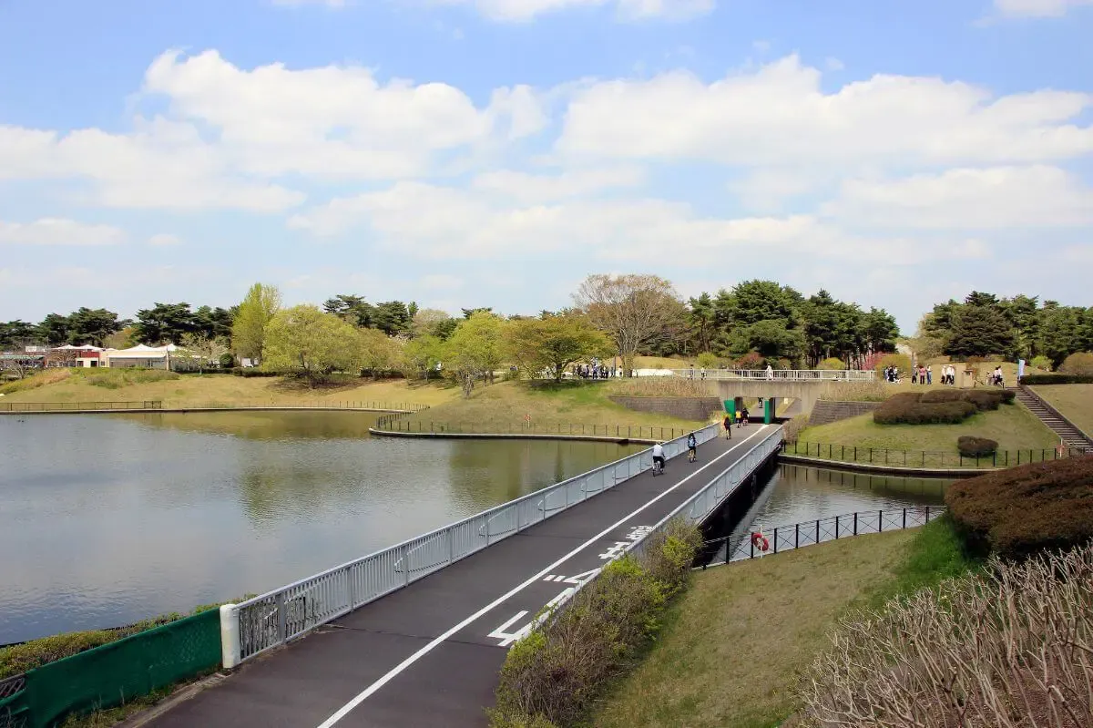 国営ひたち海浜公園（写真 4）