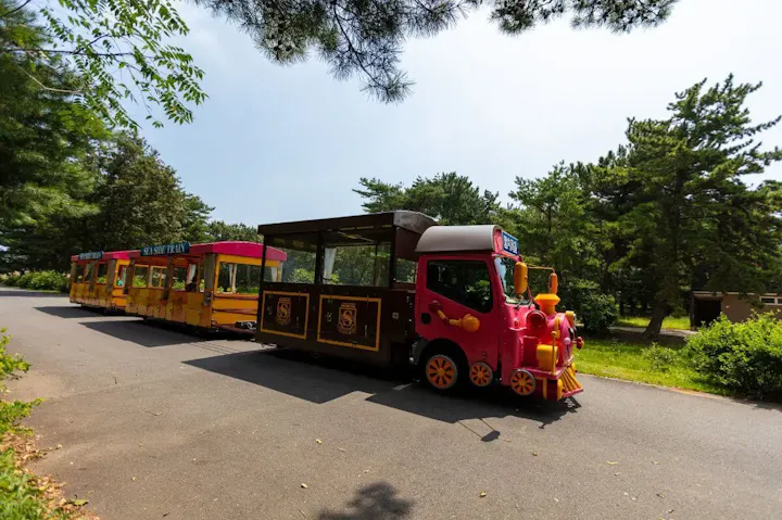 シーサイドトレインで公園内を周遊!
