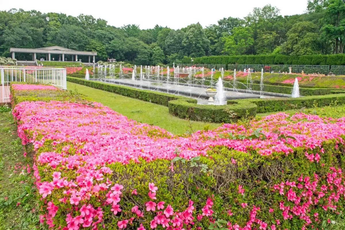 神代植物公園(写真 4)