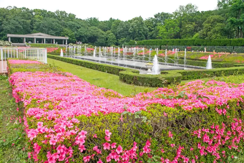 神代植物公園