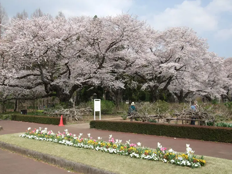 神代植物公園