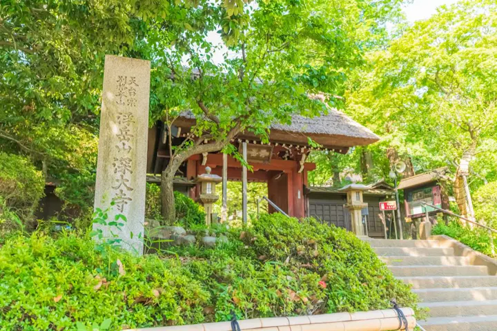 国宝も奉られる広くて気持ちの良い境内