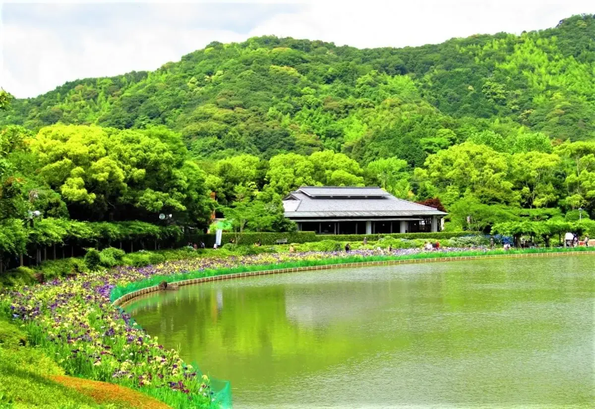 南楽園（写真 3）
