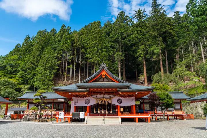 金色に輝く桜が咲き誇る神社