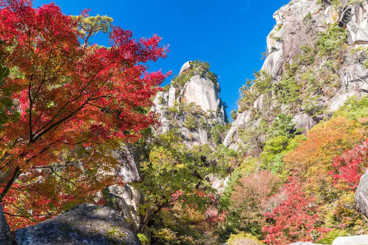 秋の魅力「美しい紅葉」を楽しむ