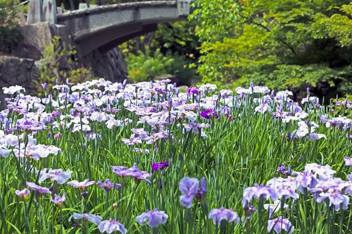 山梨県立美術館（写真 4）