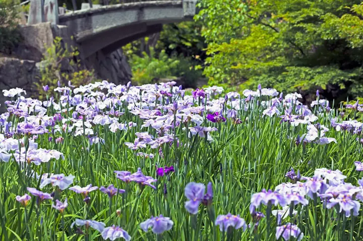 芸術と自然を満喫する