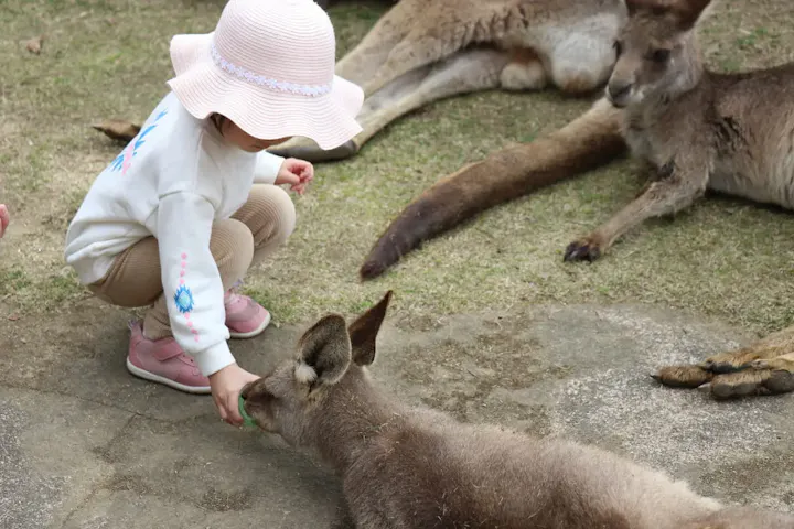 バイオパークで可愛い動物たちに会おう!
