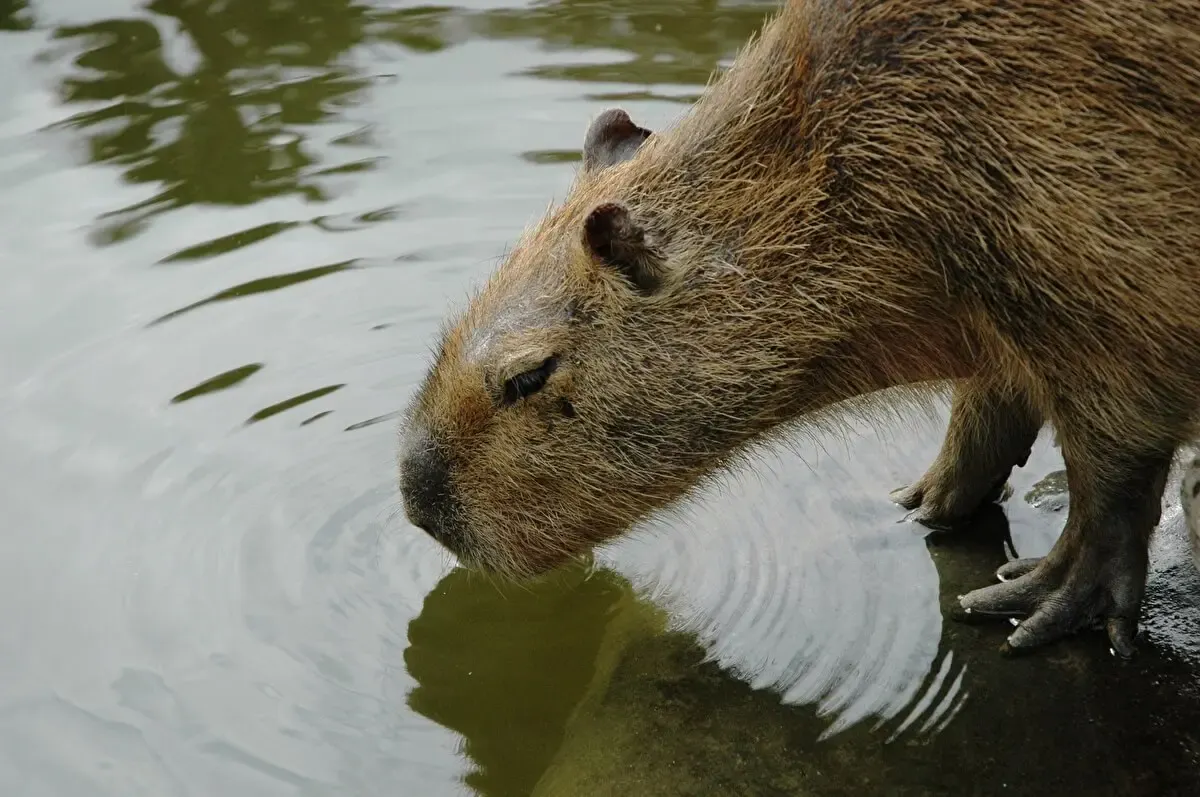 長崎バイオパーク