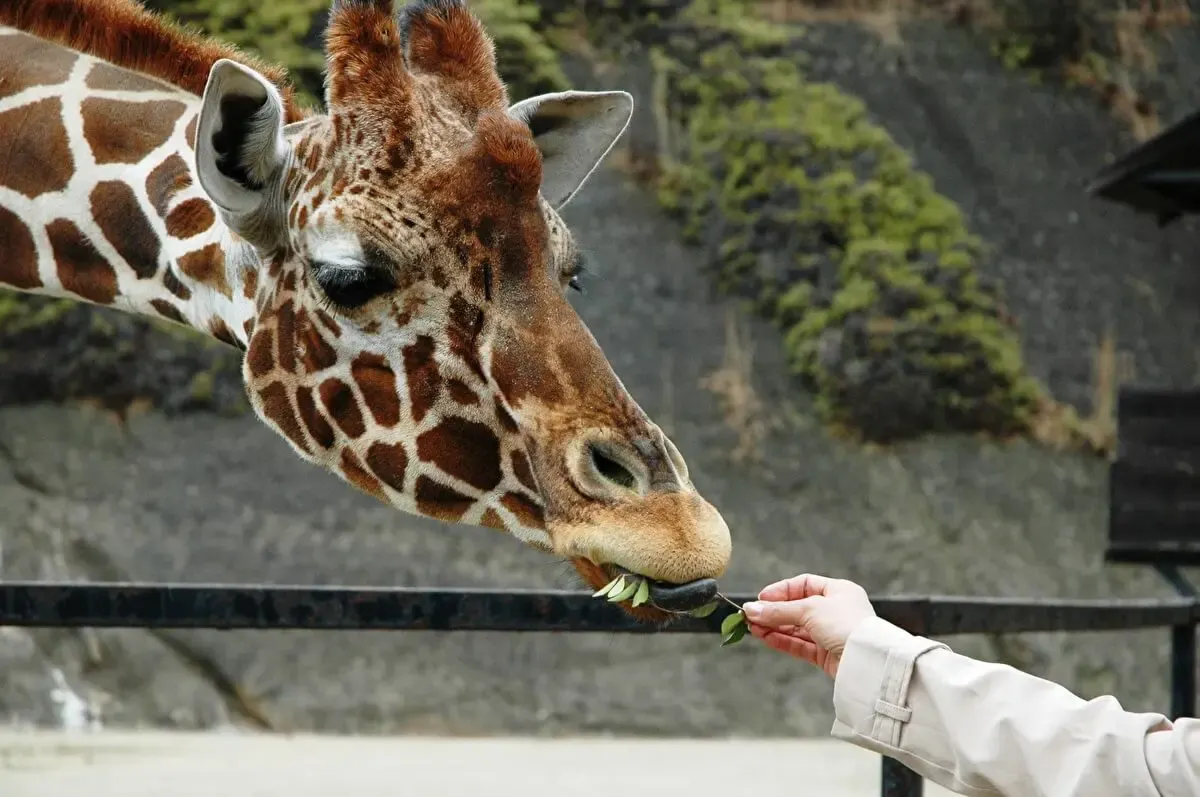 長崎バイオパーク(写真 2)