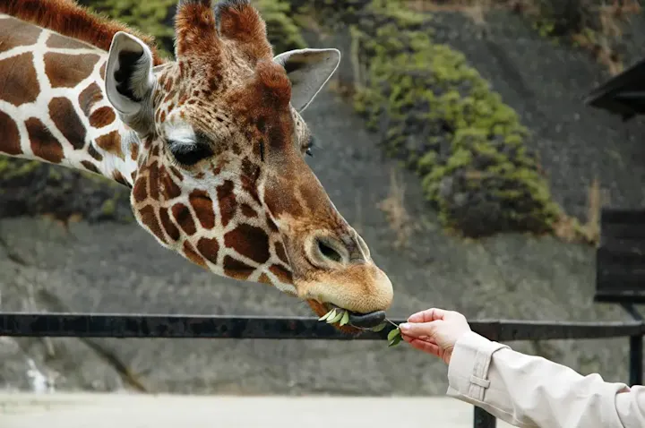 人と動物の関係を学べる