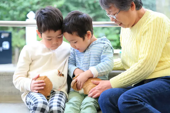 可愛い動物に癒される