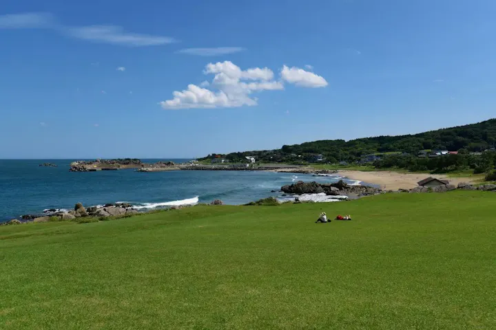 天然芝生が広がる珍しい海岸！