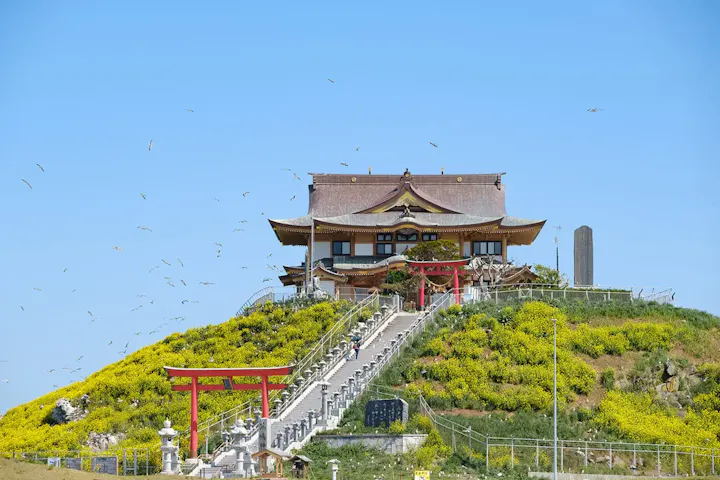 ウミネコの繁殖地として知られる神社！