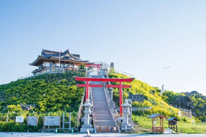 菜の花が咲き乱れる美しい風景！
