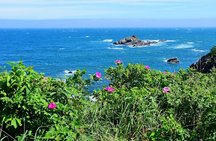 高山植物と海浜植物の宝庫！