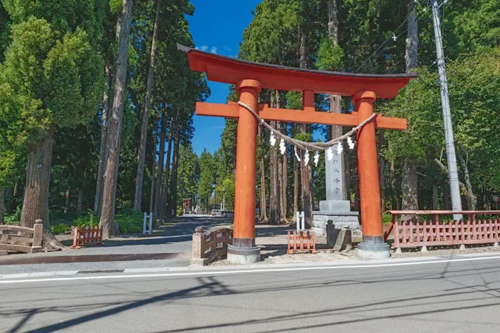 樹齢数百年の杉が広がる境内や参道！