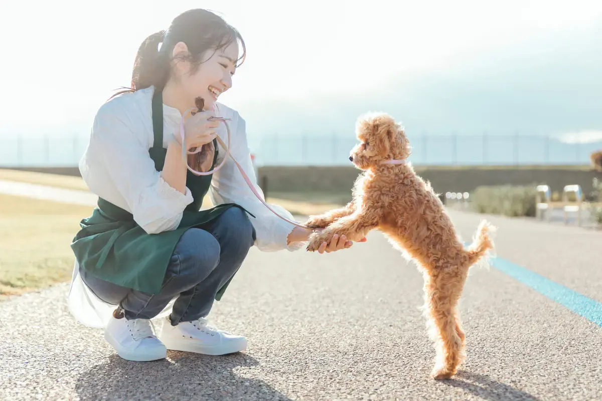 下田温泉(写真 6)