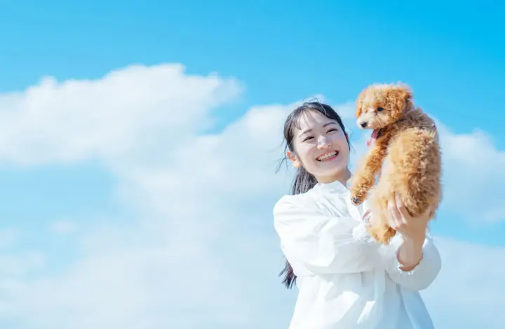 愛犬と一緒に楽しめる海辺の散歩スポット