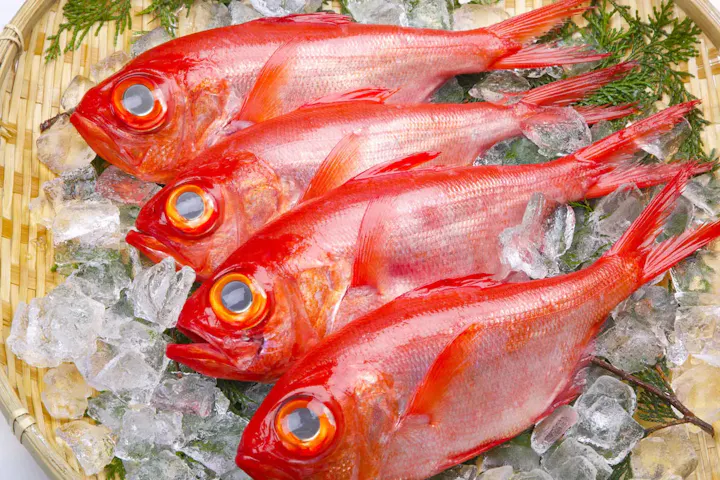 南伊豆の絶品海鮮グルメ