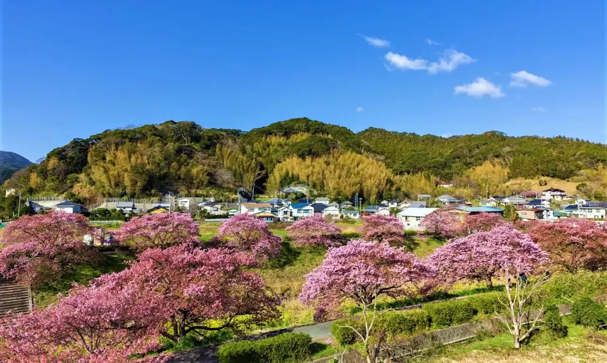 下賀茂温泉