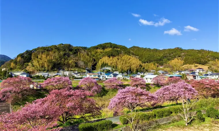 下賀茂温泉