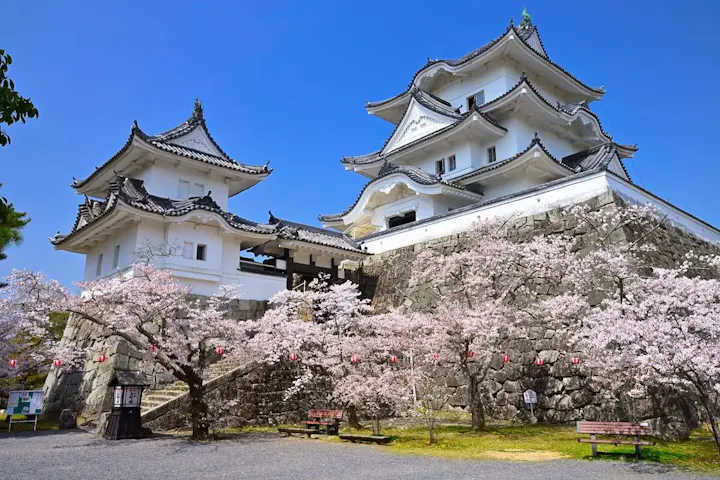 桜の名所として有名