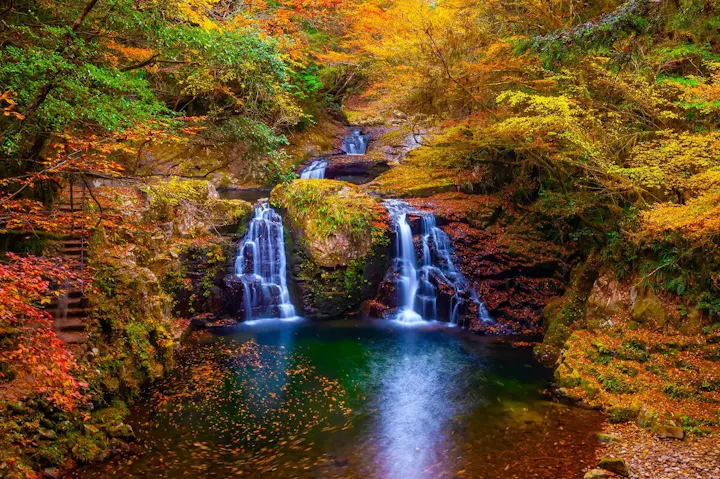 紅葉の時期も美しい!赤目四十八滝の魅力