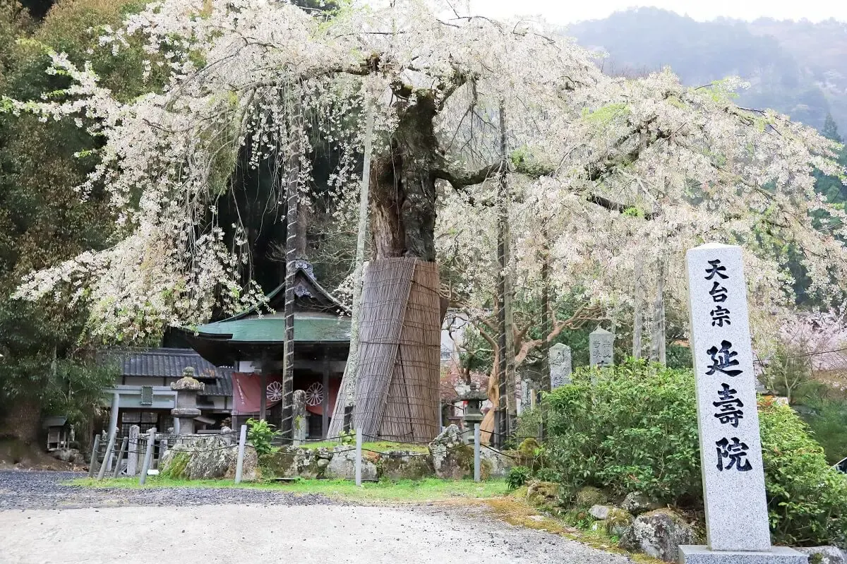 赤目四十八滝(写真 4)