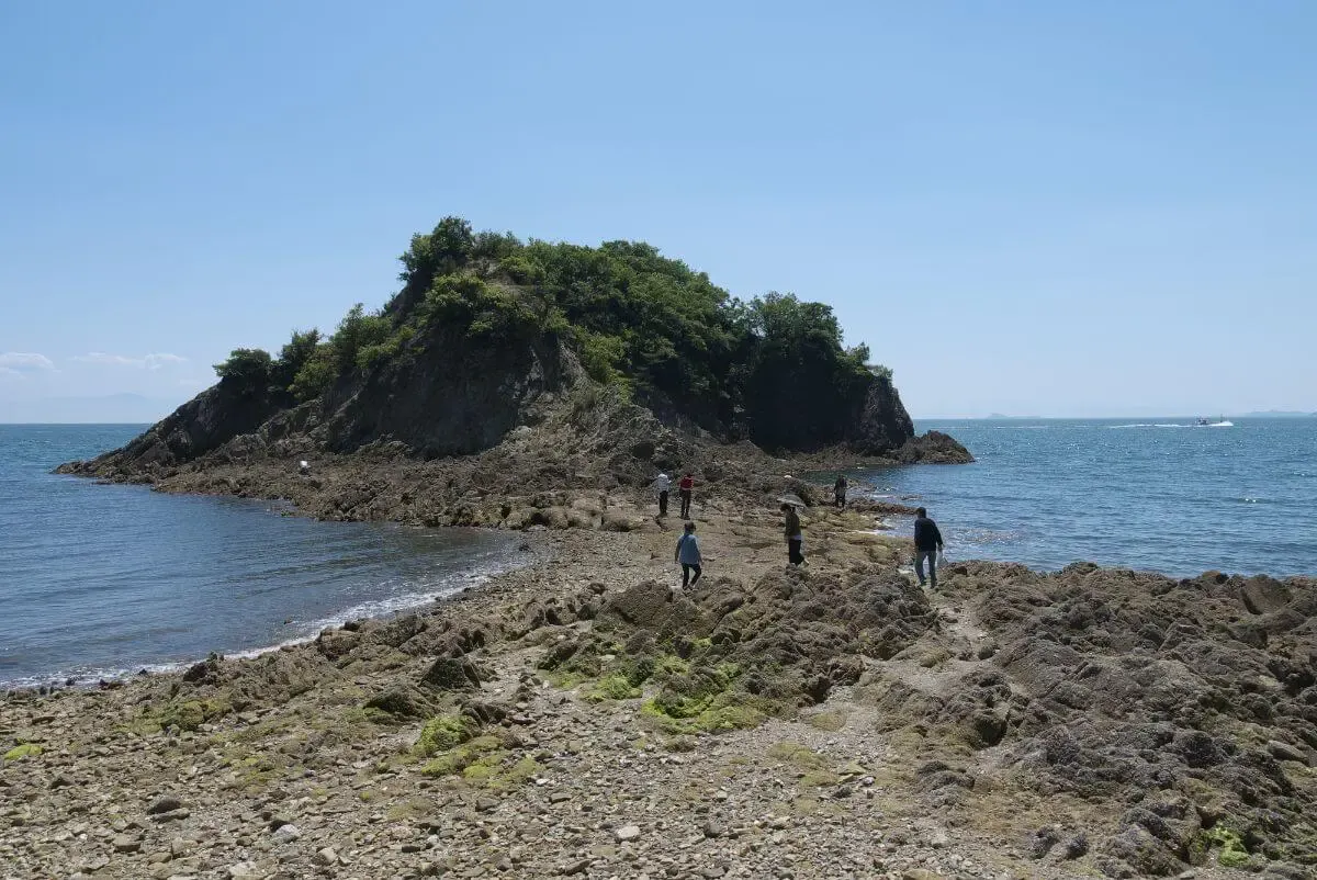 仙酔島の五色岩(写真 5)