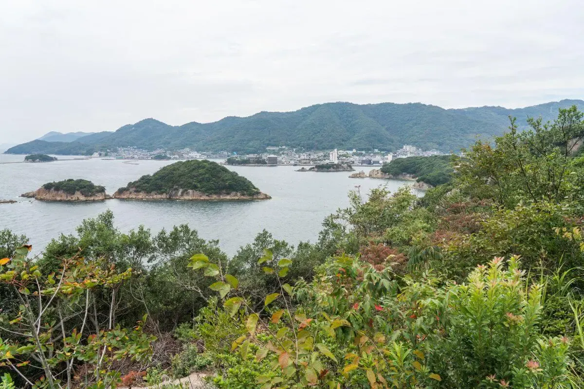 仙酔島の五色岩(写真 6)