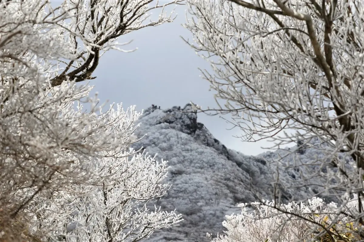 雲仙岳（写真 3）
