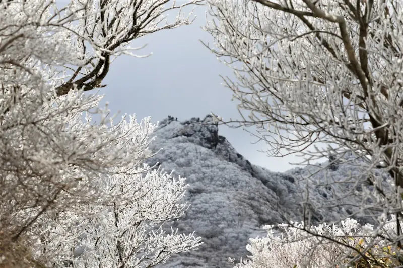 雲仙岳