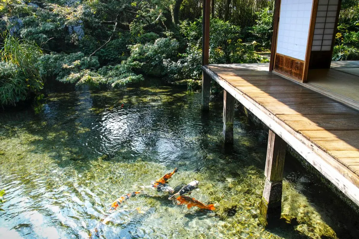 島原温泉（写真 4）