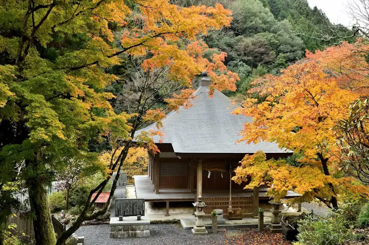 自然に囲まれたお寺「光滝寺」