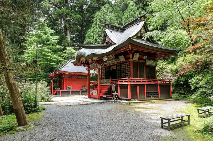 老木が立ち並ぶ荘厳な雰囲気の神社