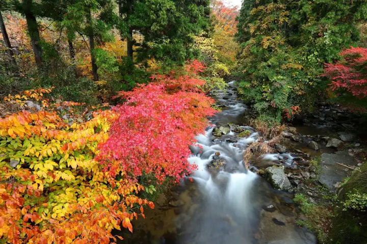 紅葉の名所・花園渓谷！