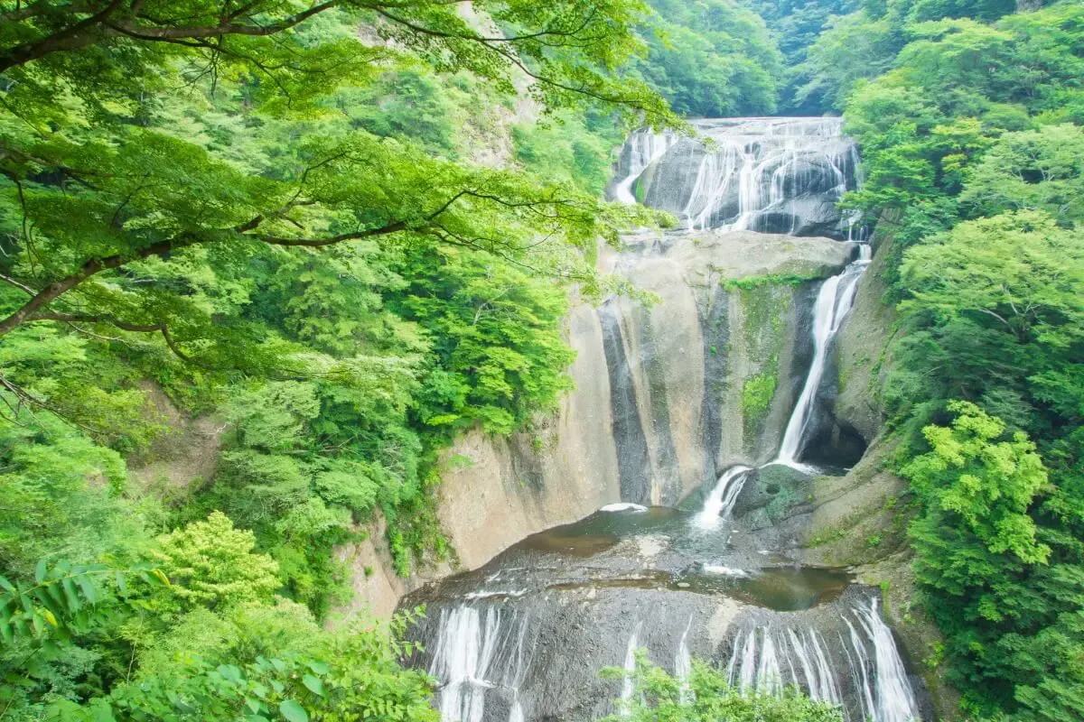 袋田の滝（写真 2）