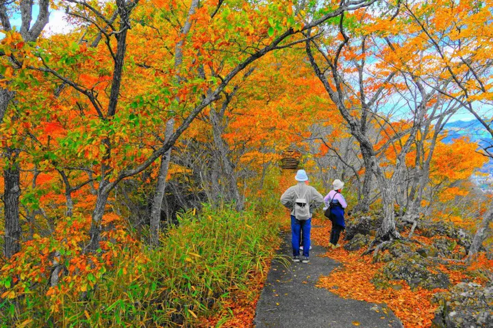 袋田の滝の背後にある月居山でハイキング！