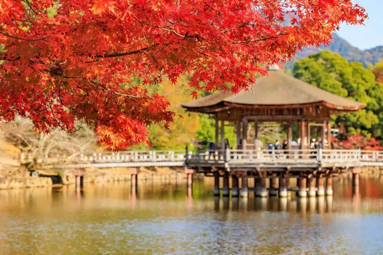 奈良公園