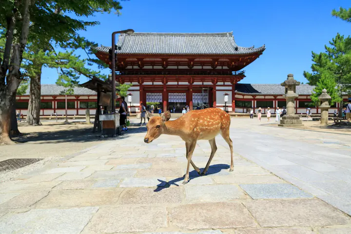 散策しながら歴史的建造物を堪能！