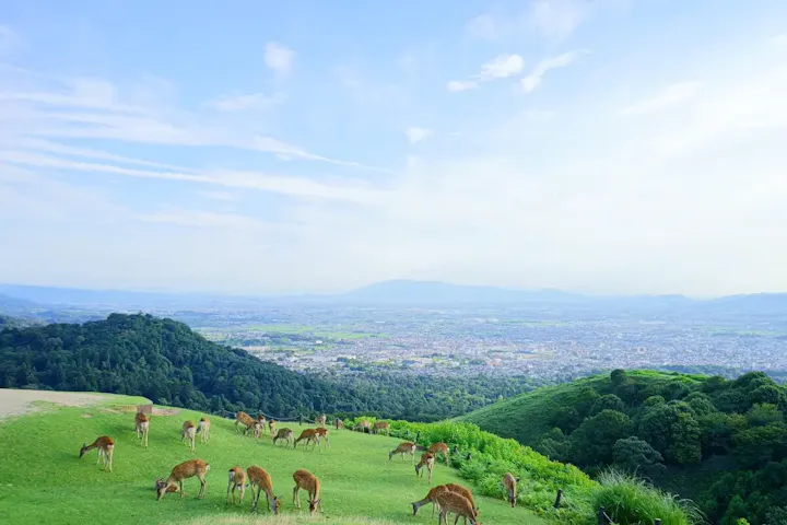 奈良公園の絶景スポット、若草山