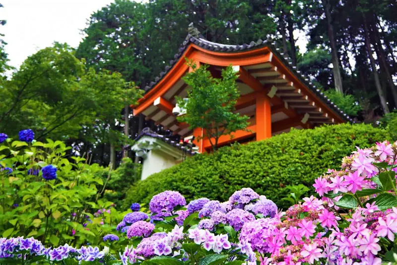 三室戸寺