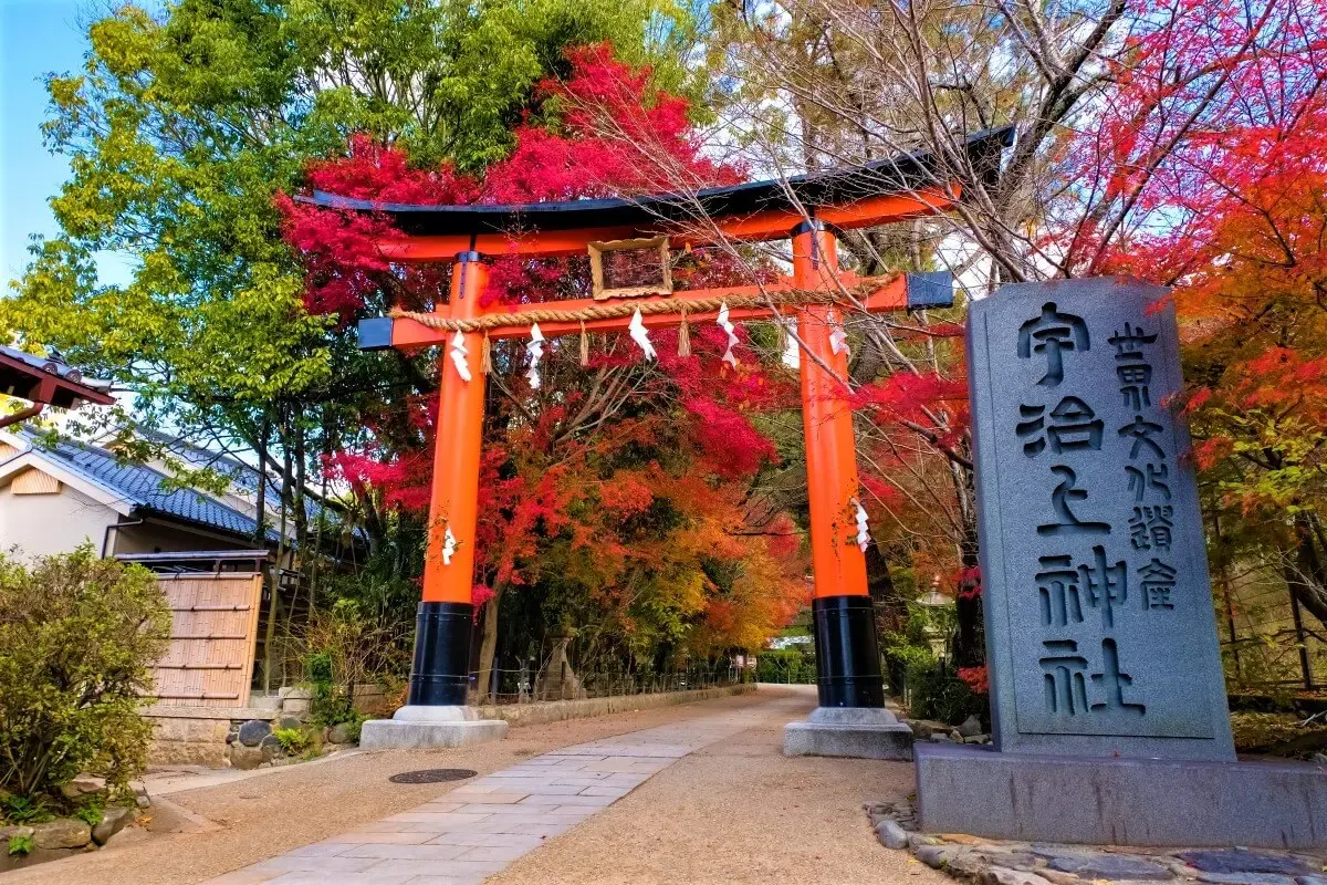 宇治上神社（写真 3）
