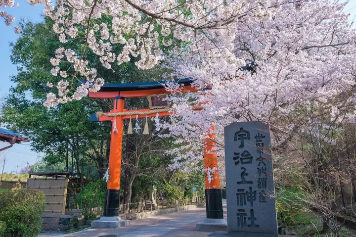 桜の名所で春を満喫しよう！