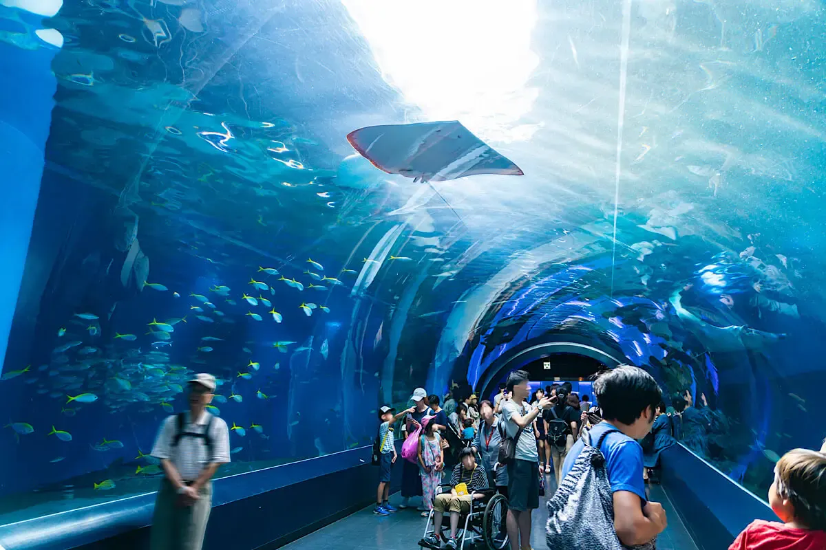 アクアパーク品川(写真 3)