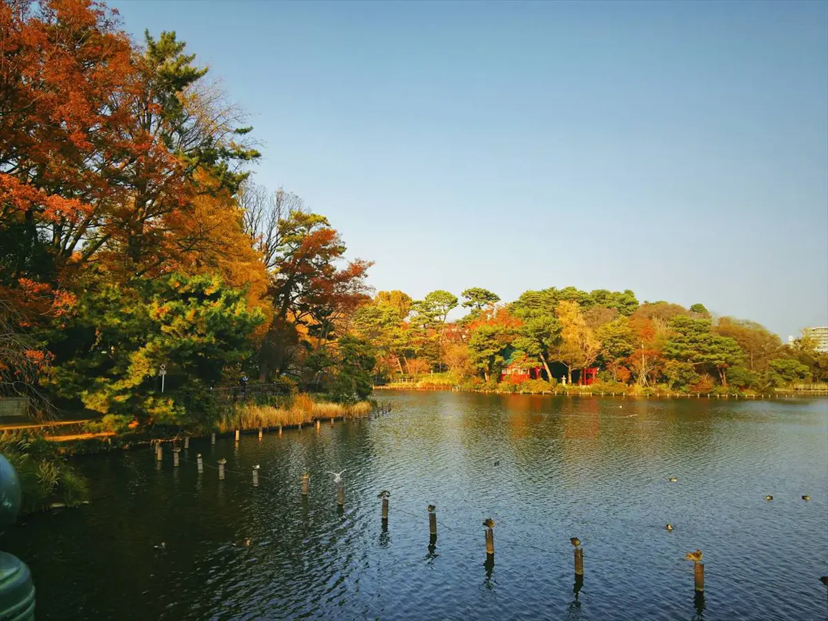 洗足池公園（写真 3）